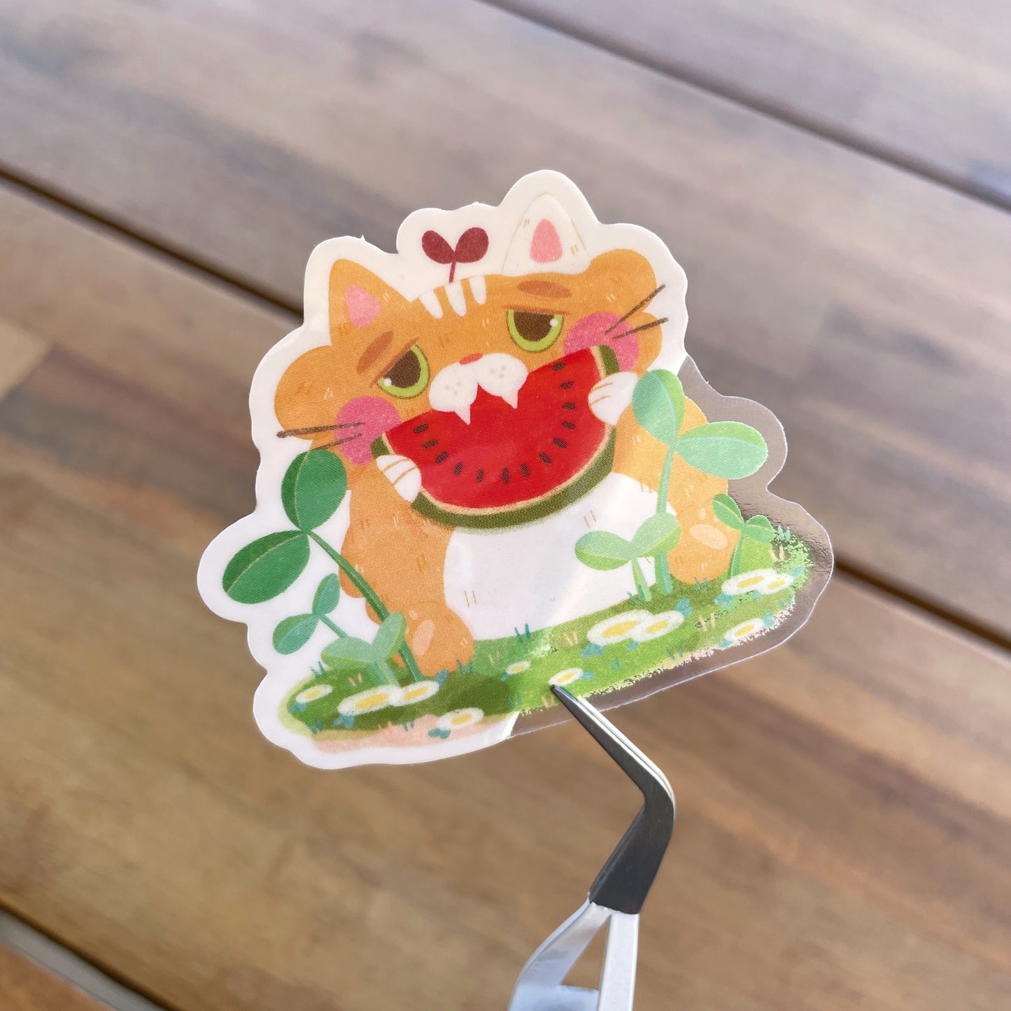Orange Tabby Cat Watermelon Clear Glossy Die-cut Sticker