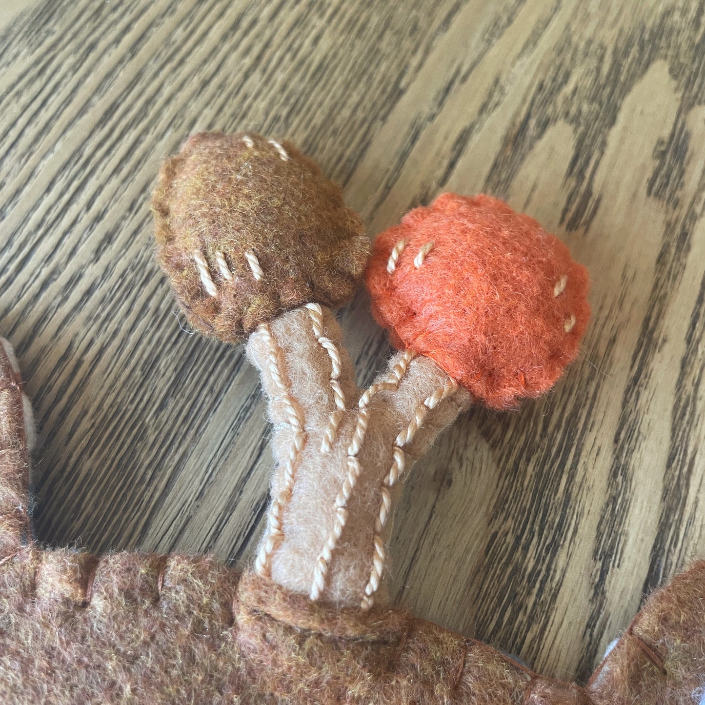 Brown Tan Frog Felt Pin Banners